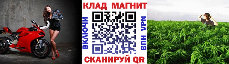 Виды наркотиков купить Опочка Cocaine  А ПВП  kraken вход  ГАШ  Каннабис 