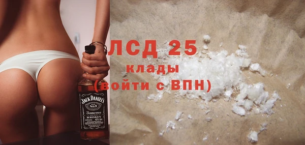 эйфоретик Алзамай
