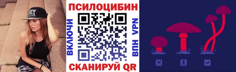 Псилоцибиновые грибы GOLDEN TEACHER  Опочка 